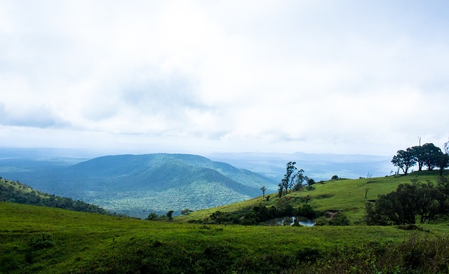 中超引援风向转变